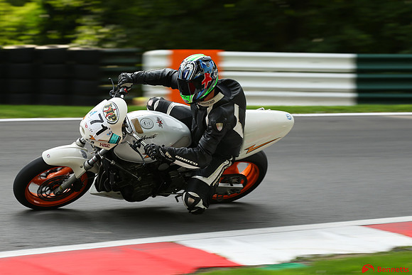 TK3_3618